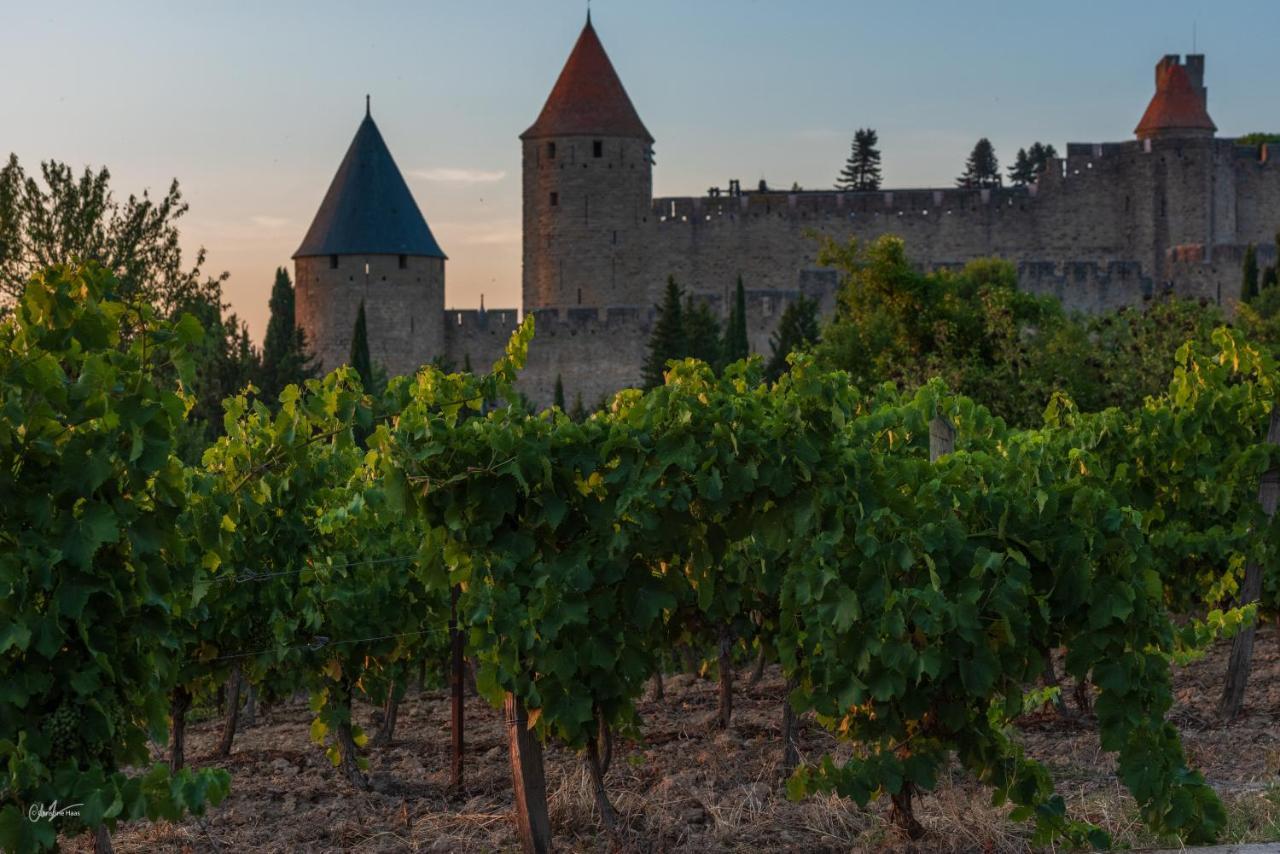 Cerise Carcassonne Sud Hotel Luaran gambar
